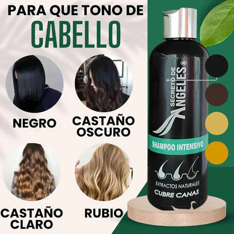 🔥 ¡Chao Canas! El Secreto de Ángeles que transforma tu cabello